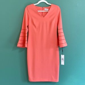 Calvin Klein Pink Bell Sleeve Dress (size 6)